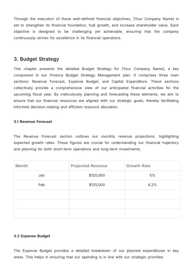 Free Finance Budget Strategy Management Template to Edit Online