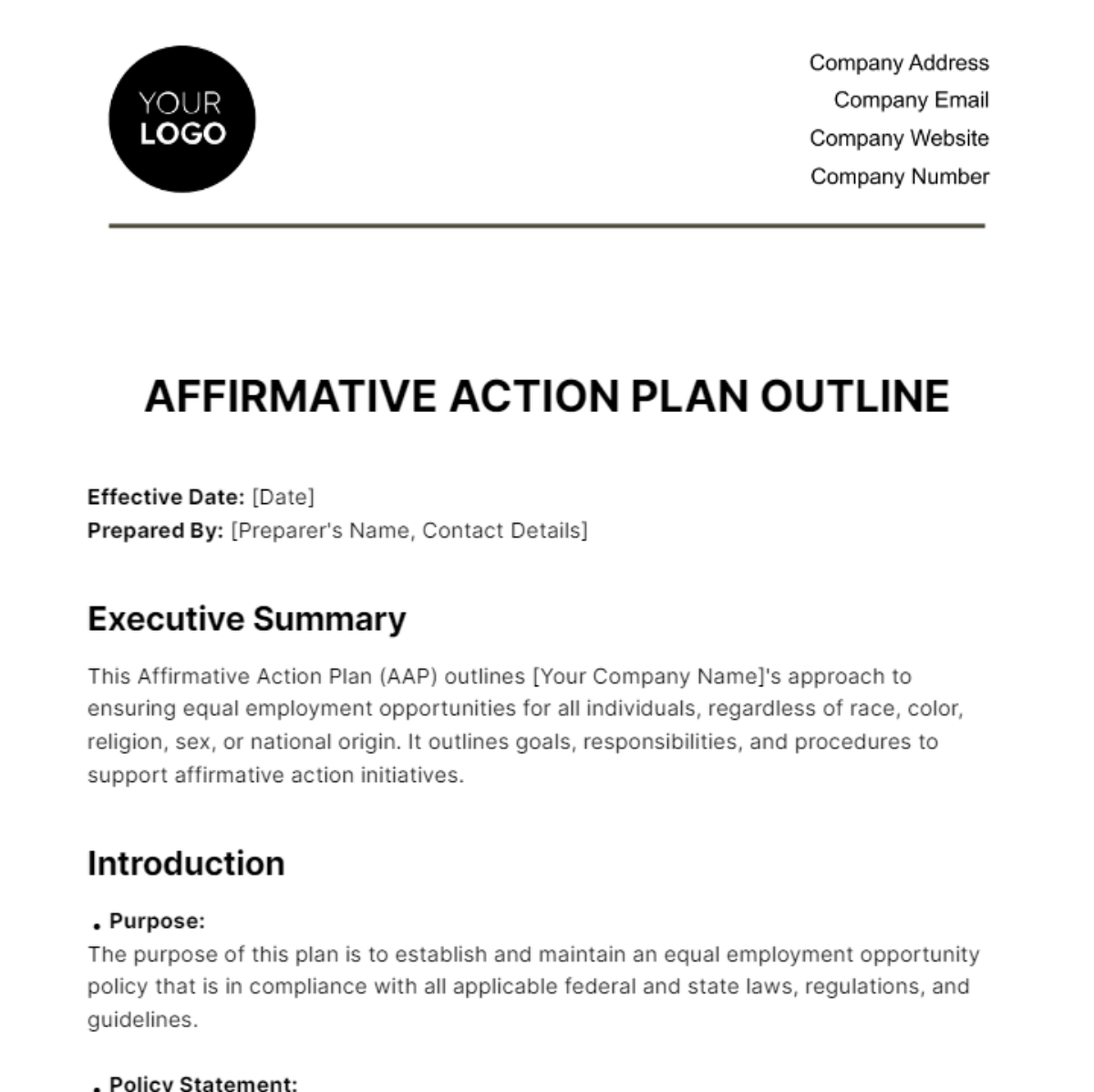 Free Affirmative Action Plan Outline HR Template