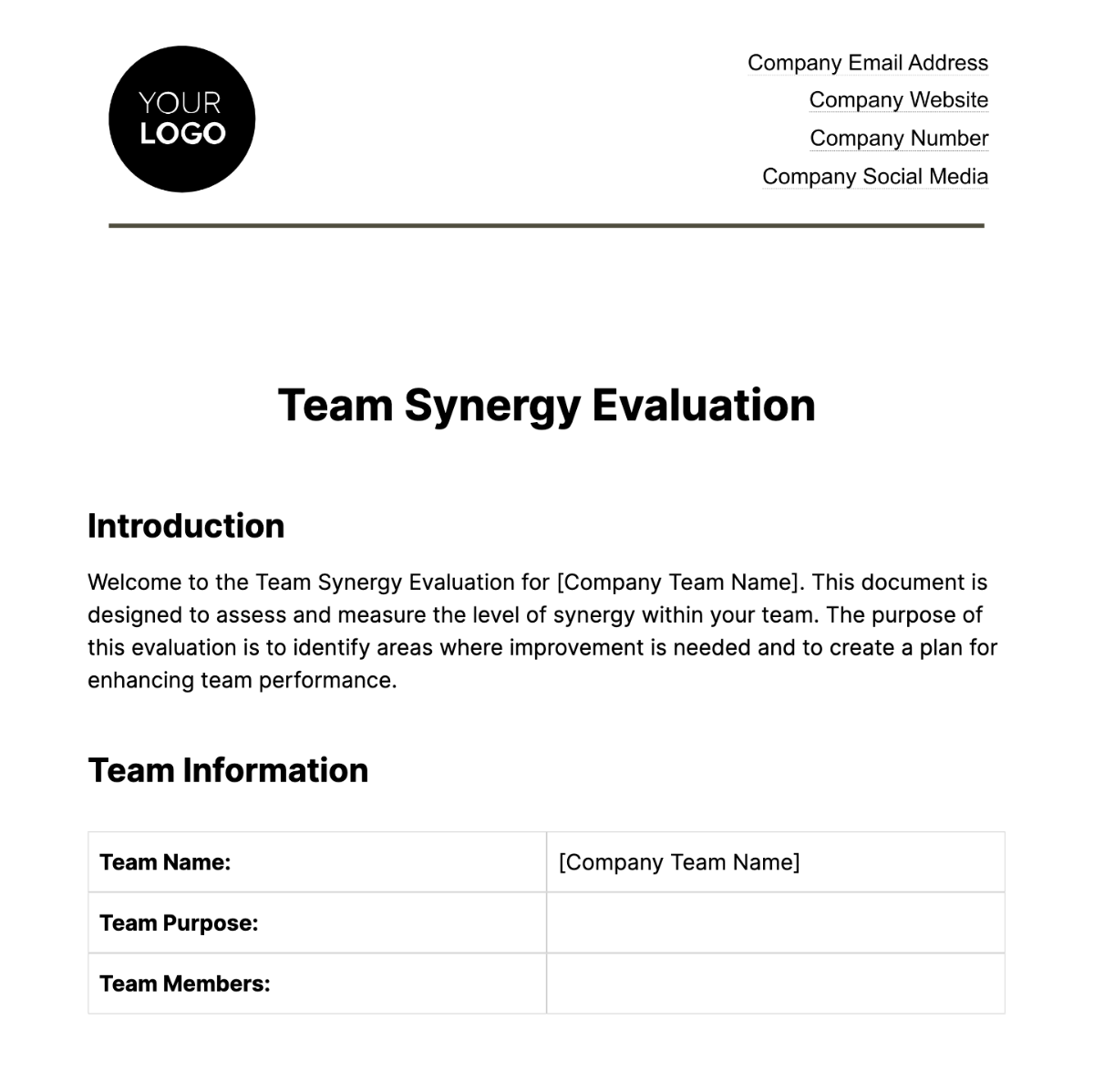 Team Synergy Evaluation HR Template