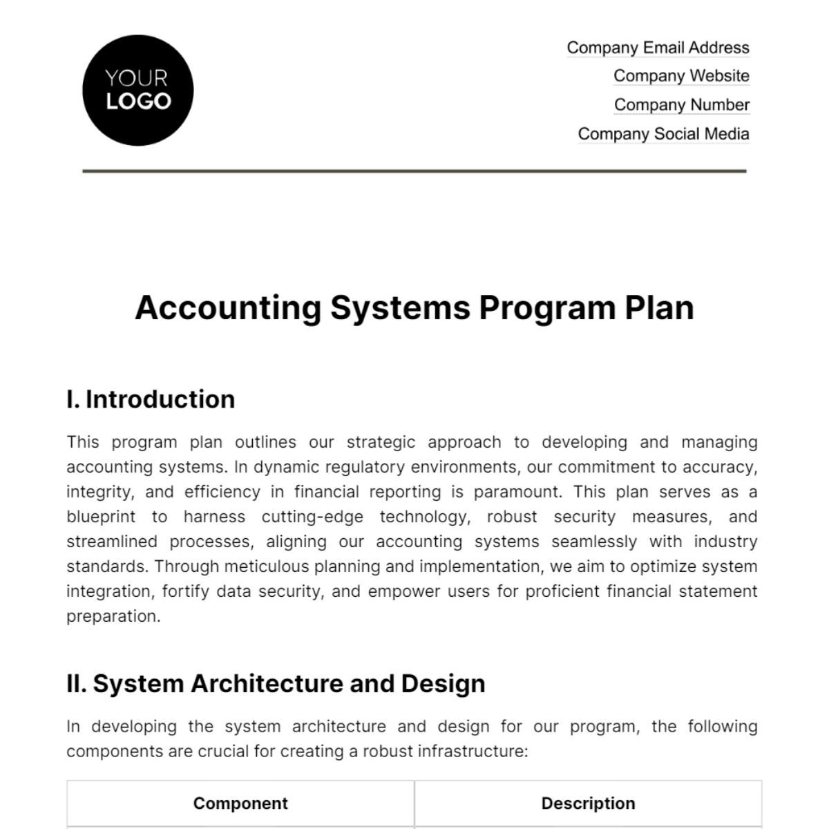 accounting-systems-program-plan-template-edit-online-download