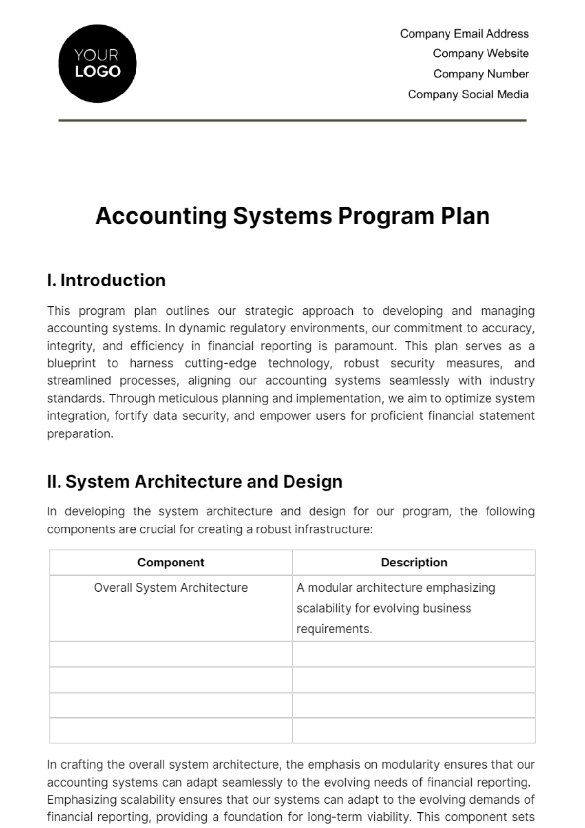 Free Accounting Systems Program Plan Template