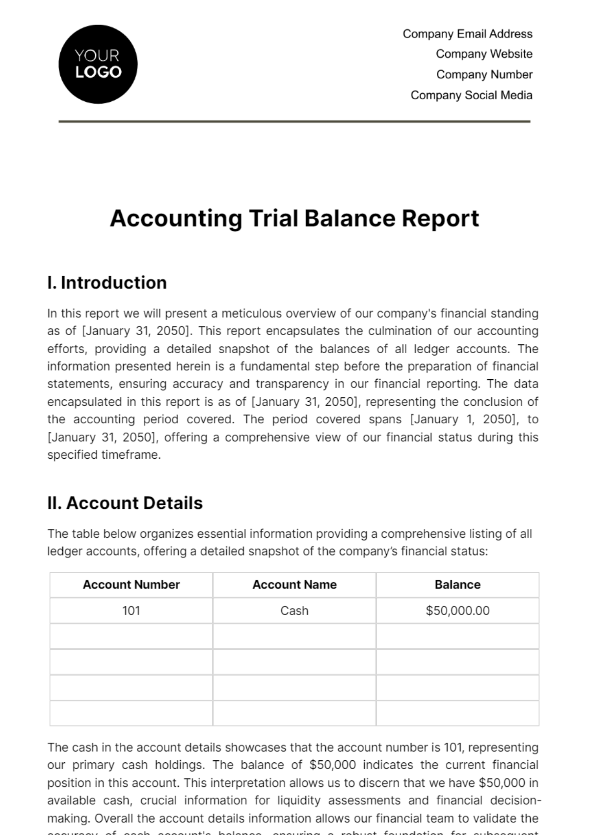 Accounting Trial Balance Report Template