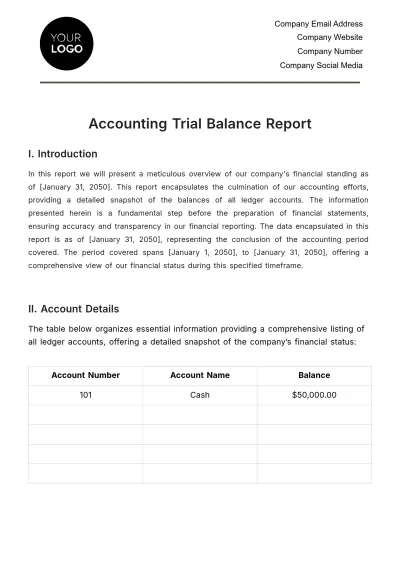 Free Accounting Trial Balance Report Template to Edit Online