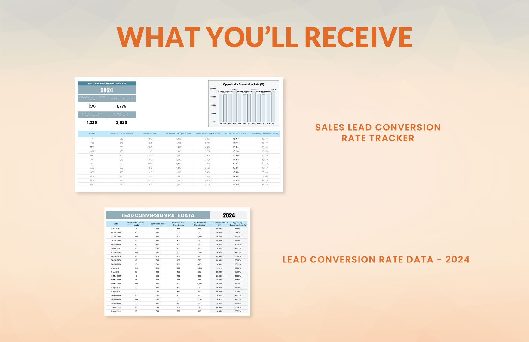 Sales Lead Conversion Rate Tracker Template