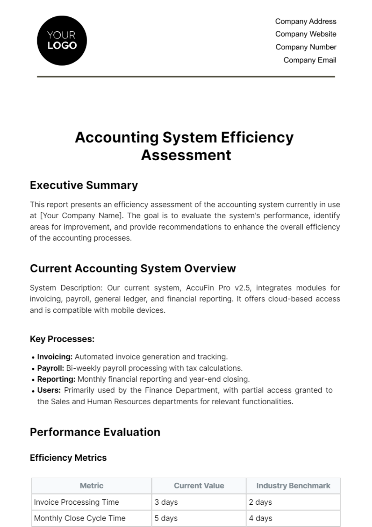 Accounting System Efficiency Assessment Template
