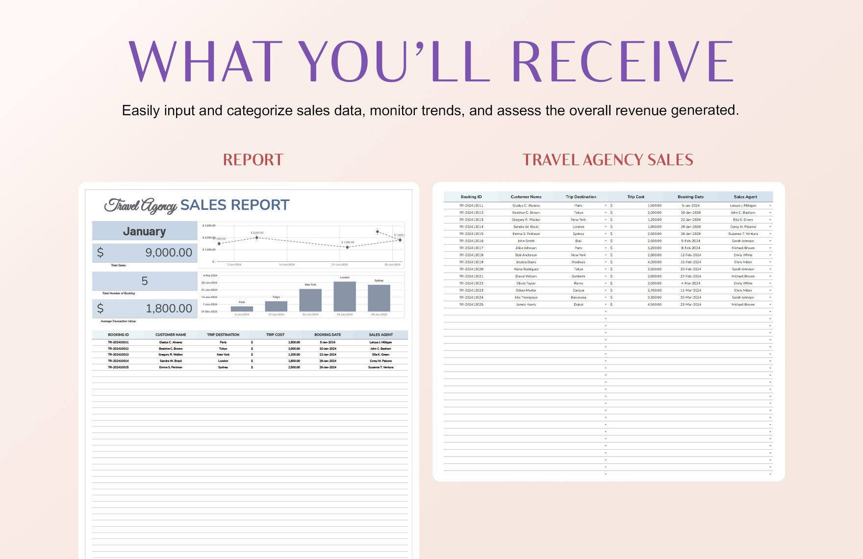 Travel Agency Sales Report Template
