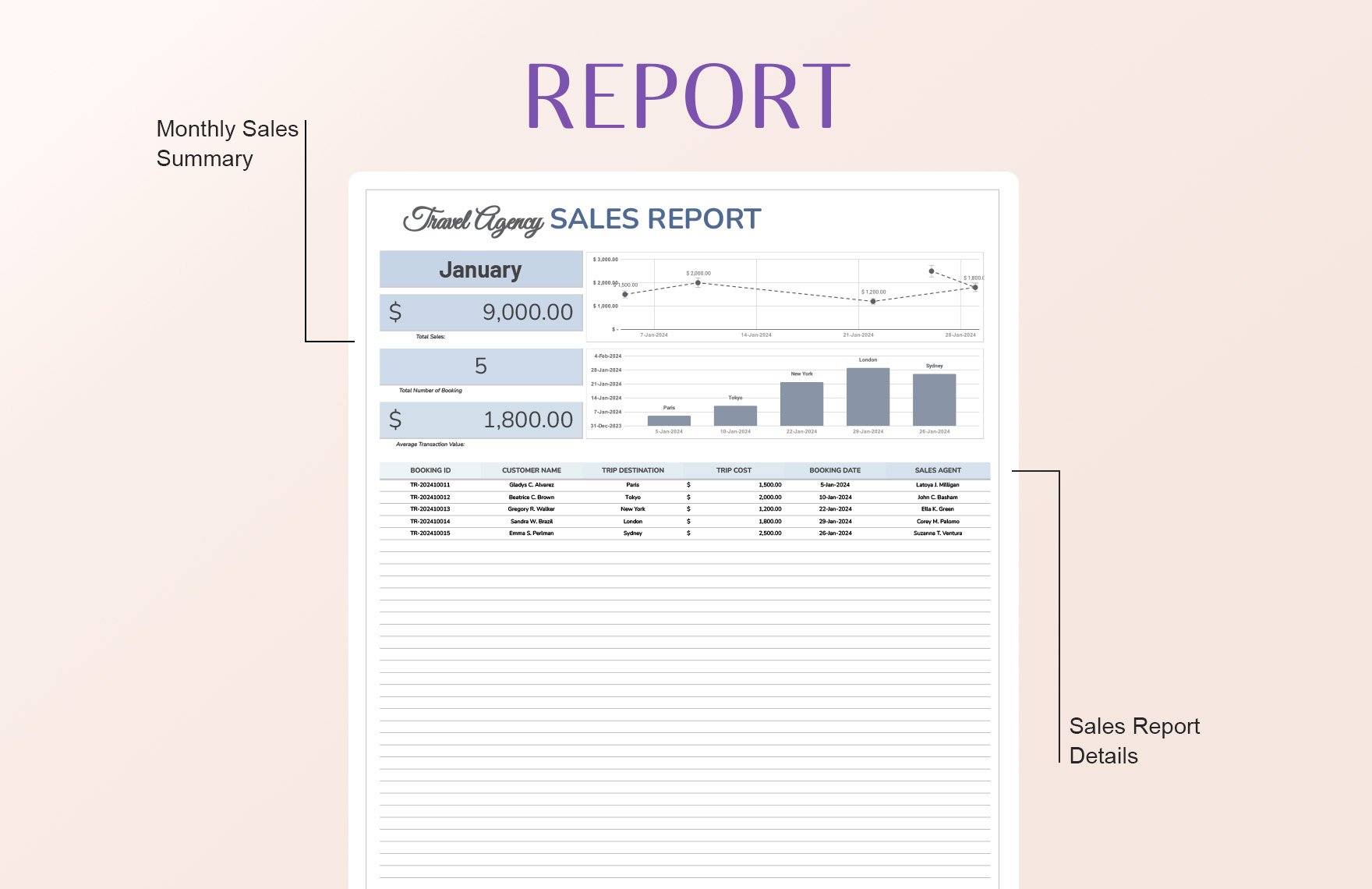 Travel Agency Sales Report Template