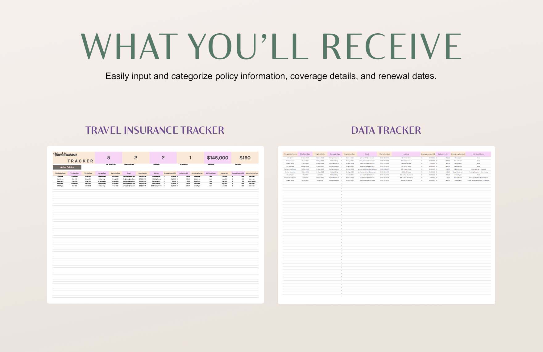 Travel Insurance Tracker Template