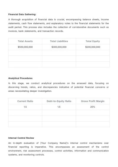 Free Account Audit Protocol Template to Edit Online