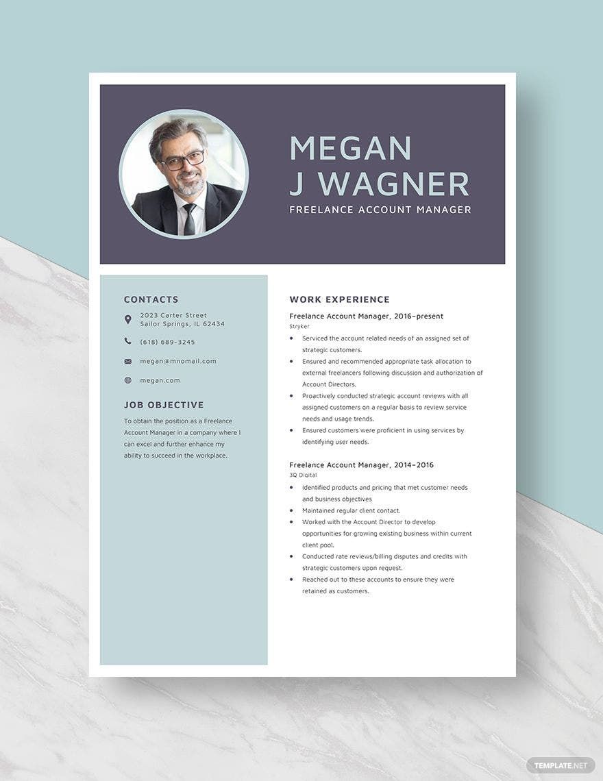 Freelance Account Manager Resume in Word, Apple Pages