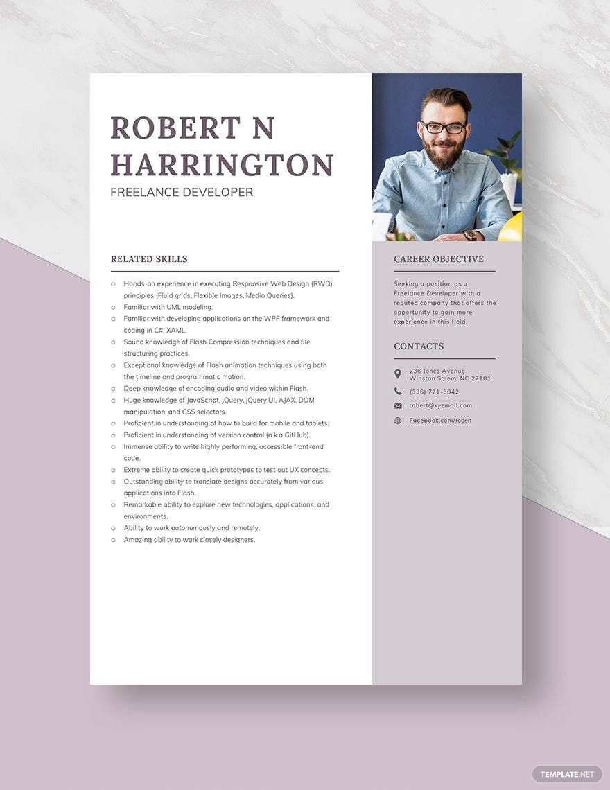 Freelance Developer Resume in Word, PDF, Apple Pages