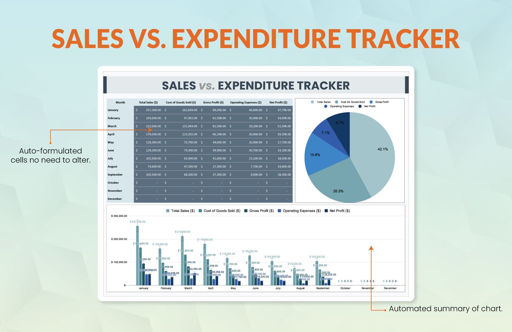 Sales vs. Expenditure Tracker Template