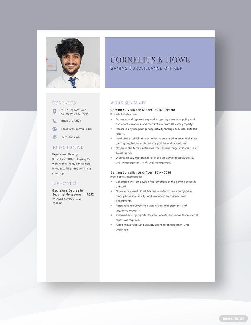 Gaming Surveillance Officer Resume in Word, Apple Pages