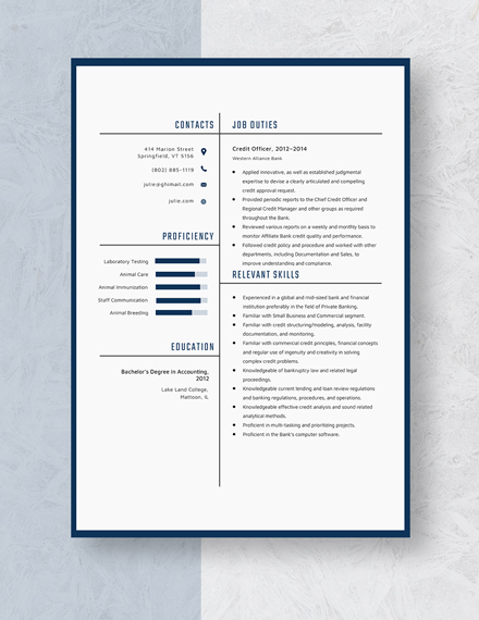 Credit Officer Resume Template