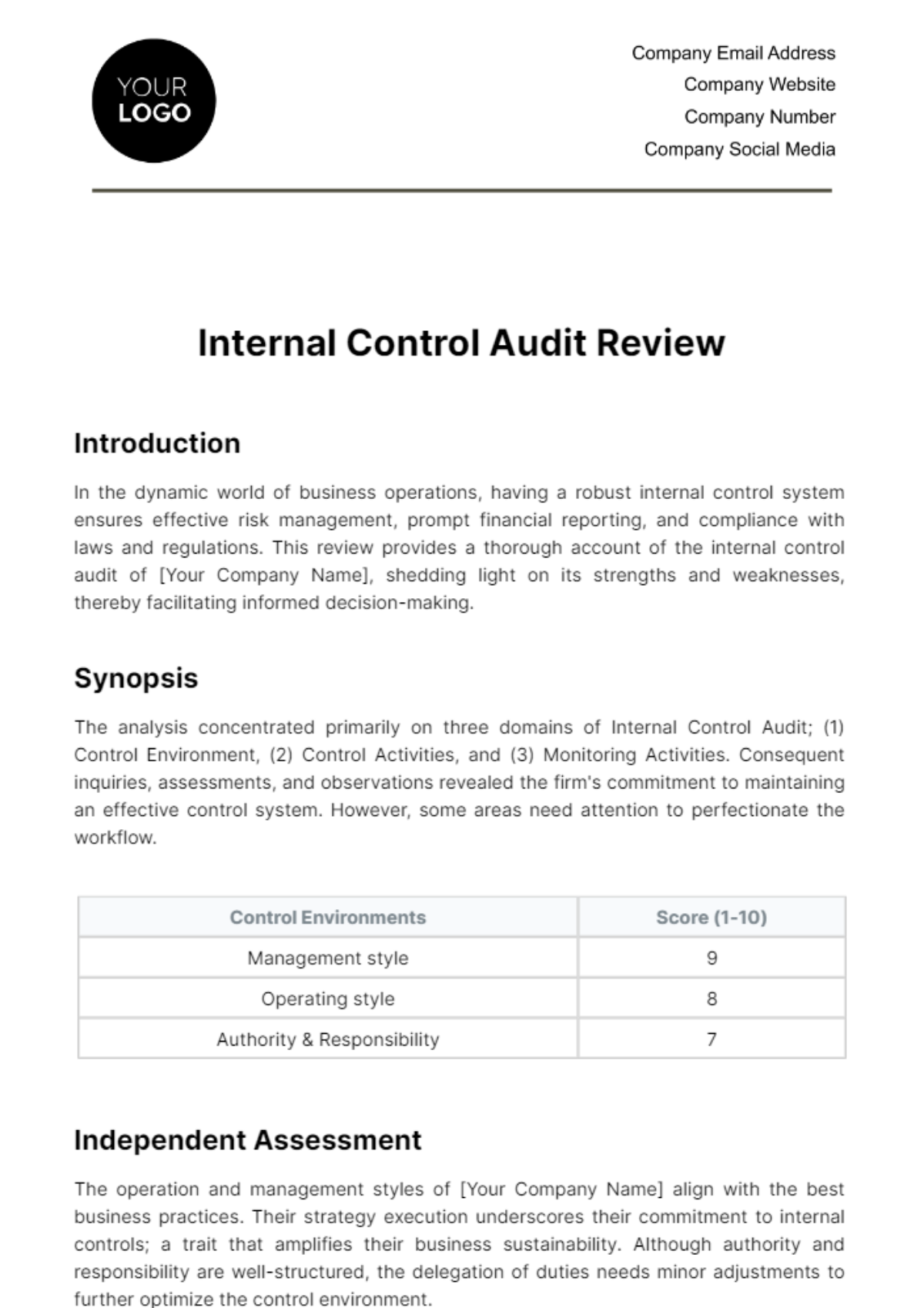 Free Internal Control Audit Review Template