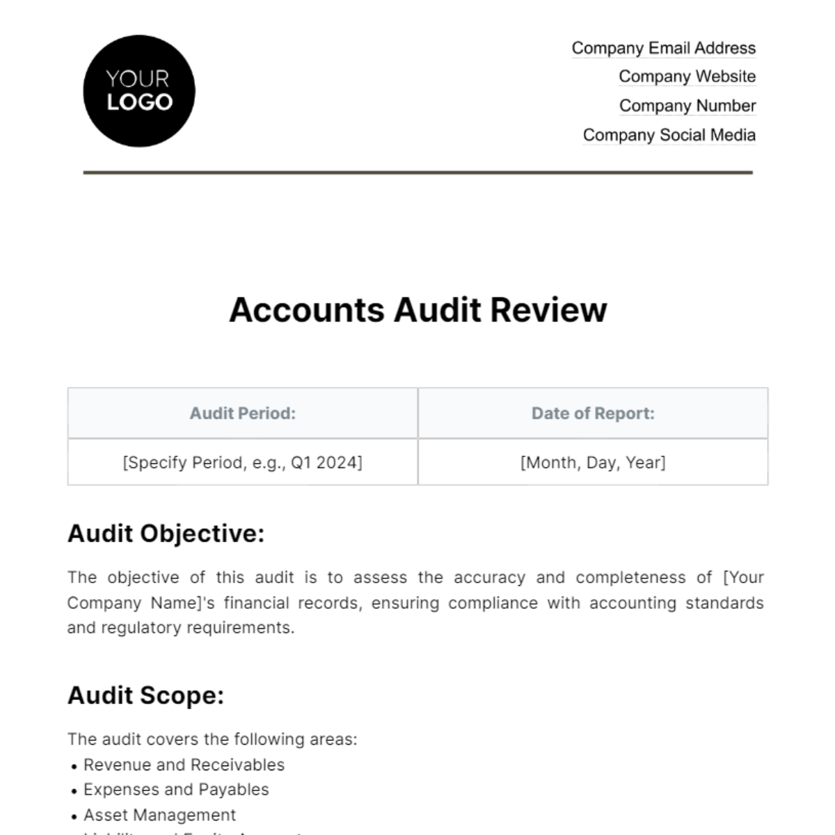 Free Accounts Audit Review Template