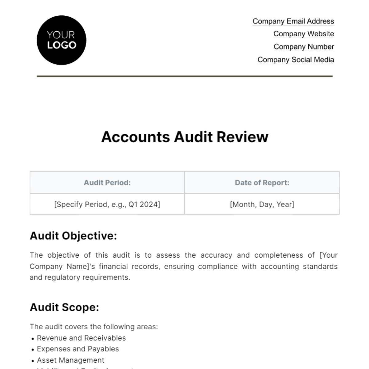 accounts-audit-review-template-edit-online-download-example