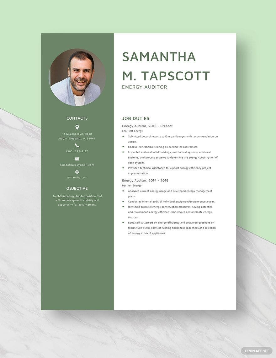 Free Energy Auditor Resume Template