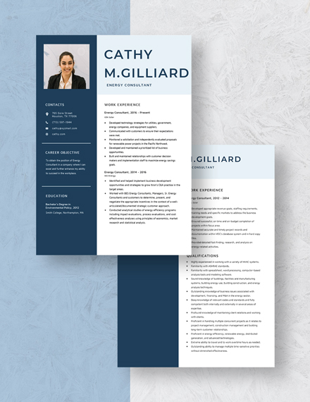 Energy Consultant Resume Download