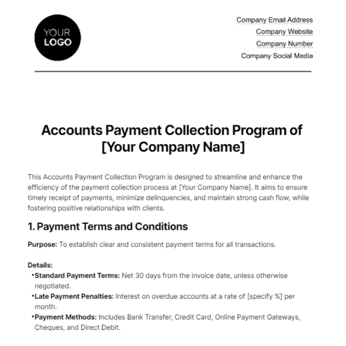 Accounts Payment Collection Program Template