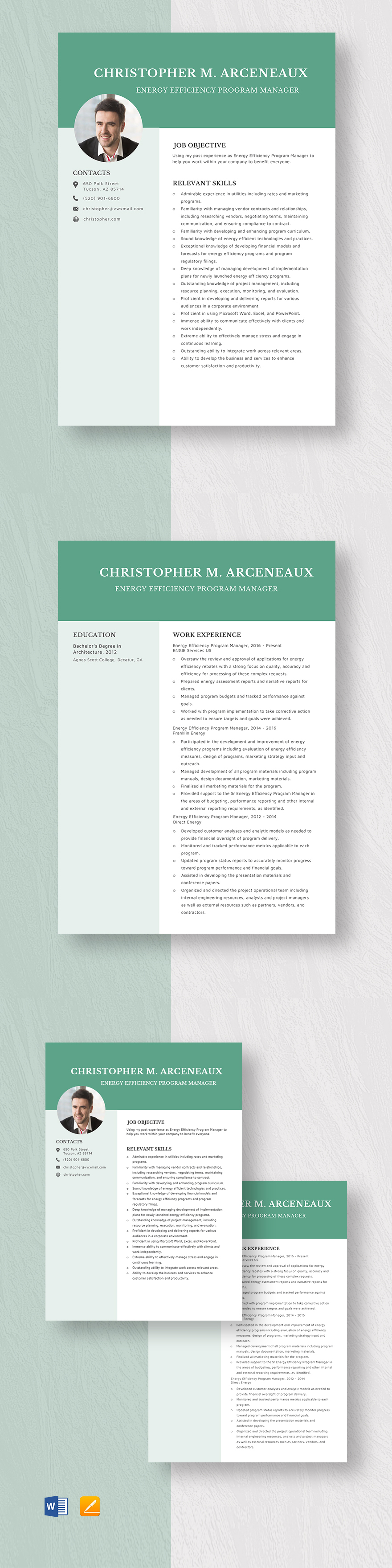 Free International Program Manager Resume Template Word Apple Pages