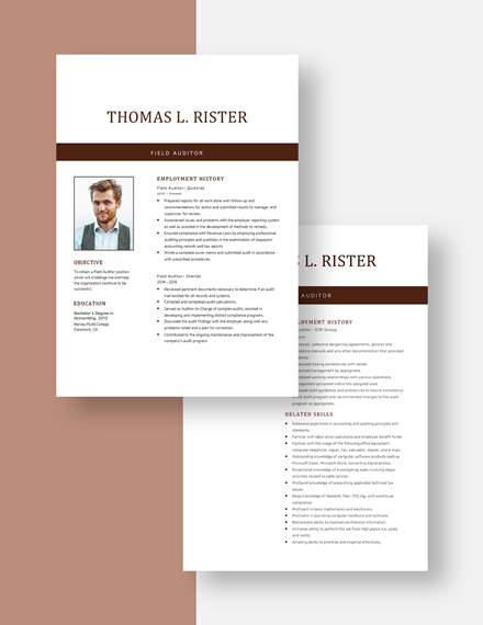 Field Auditor Resume Download