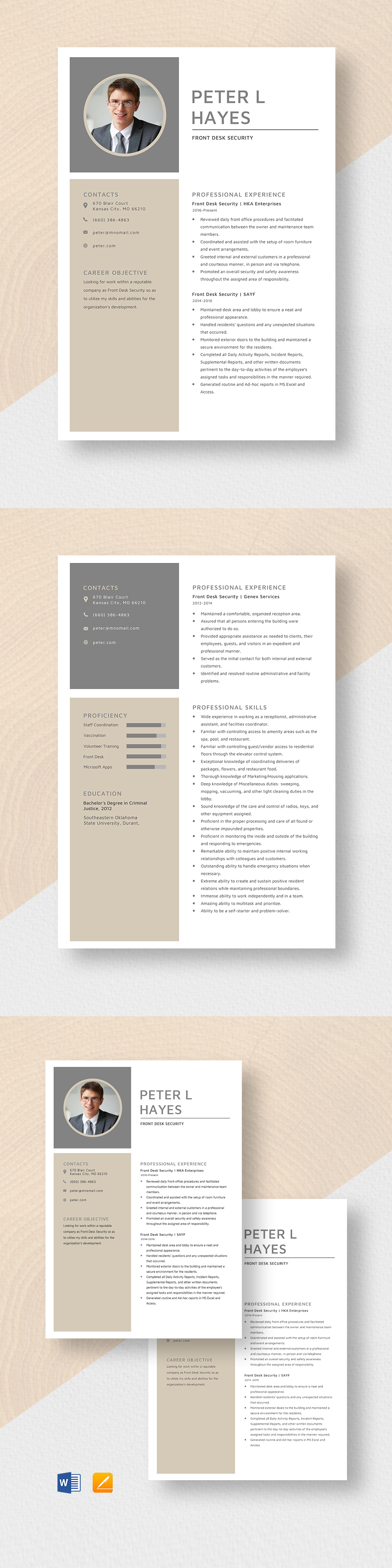 Free Front End Developer Resume Template - Word, Apple Pages, Publisher ...