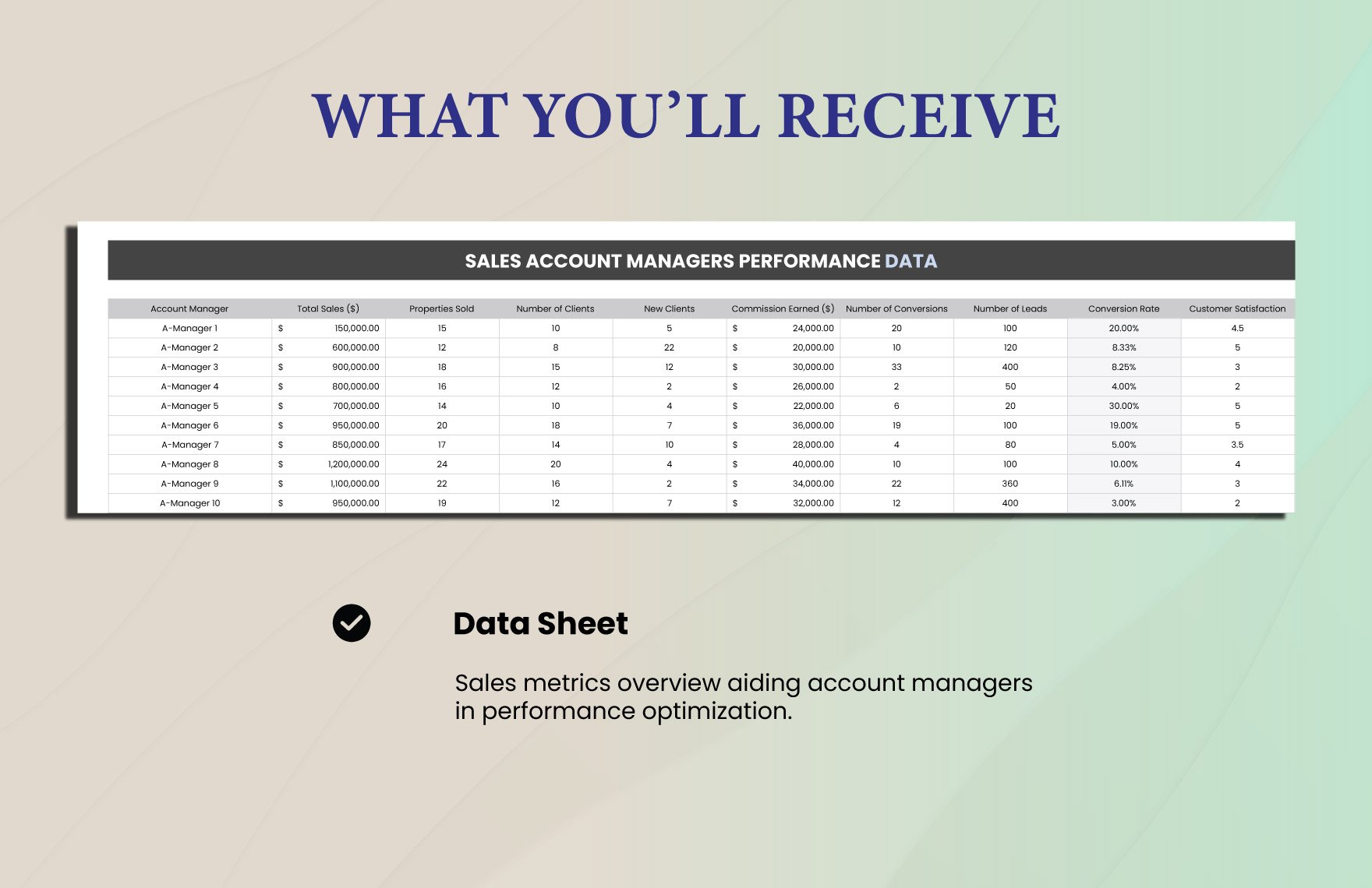Sales Account Managers Performance Dashboard Template