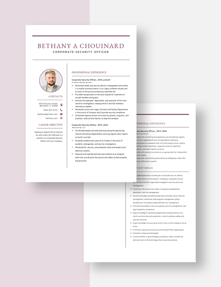 Corporate Security Officer Resume  Download