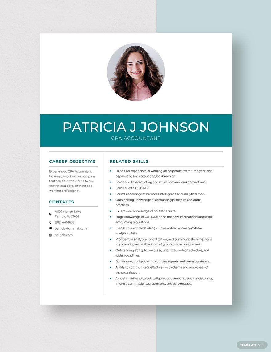 CPA Accountant Resume in Word, Apple Pages