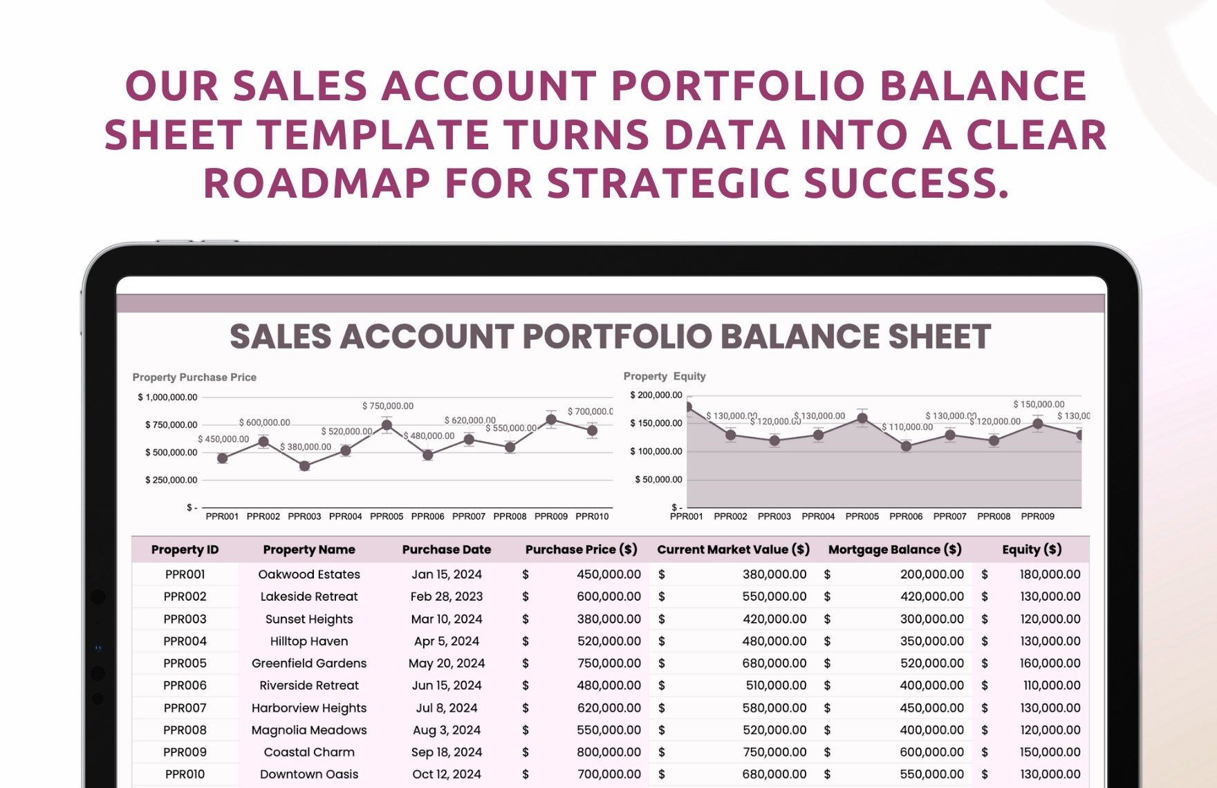 Sales Account Portfolio Balance Sheet Template