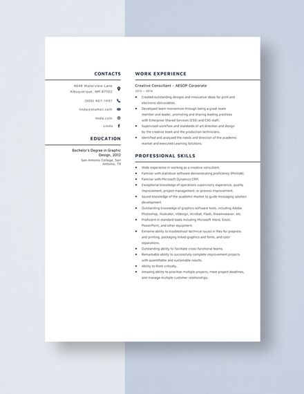 creative consultant resume description