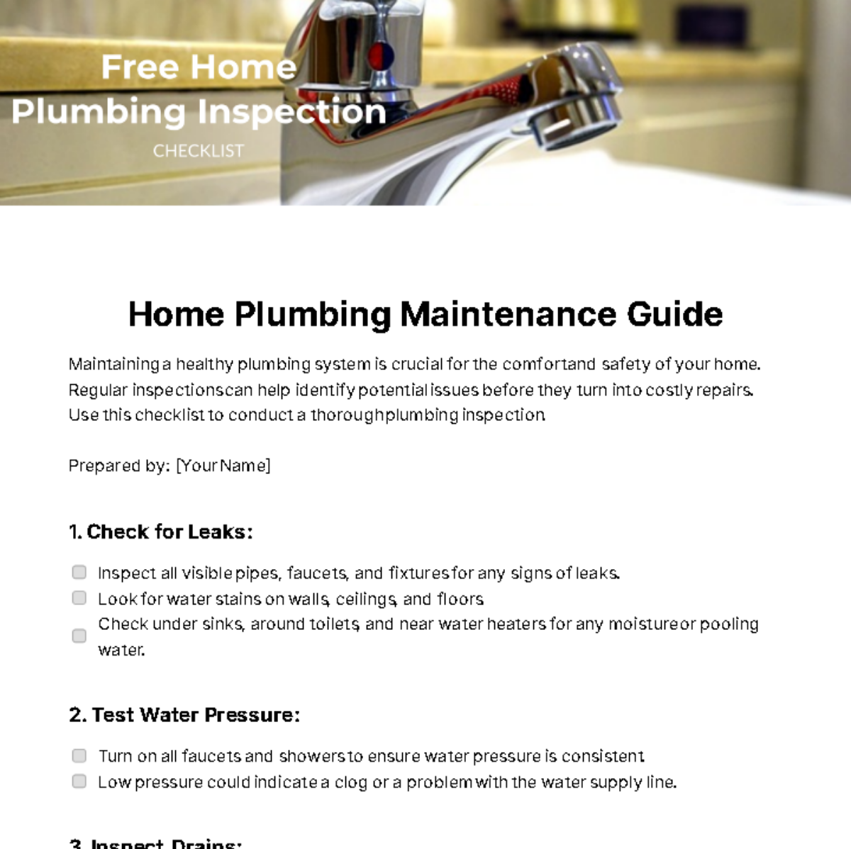 Home Plumbing Inspection Checklist Template