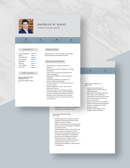 Corporate Account Director Resume Template Download