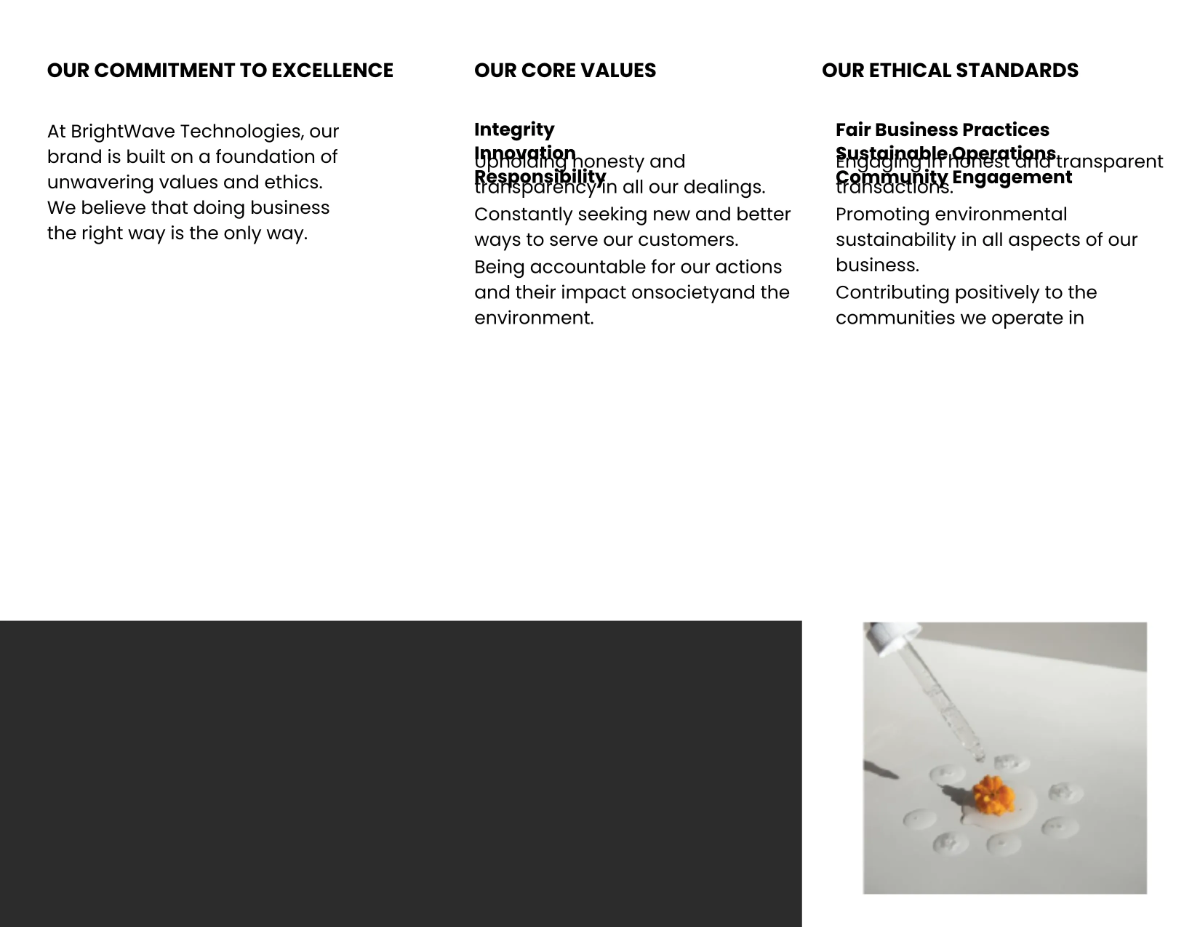 Free Brand Values and Ethics Brochure Template to Edit Online