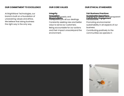 Free Brand Values and Ethics Brochure Template to Edit Online