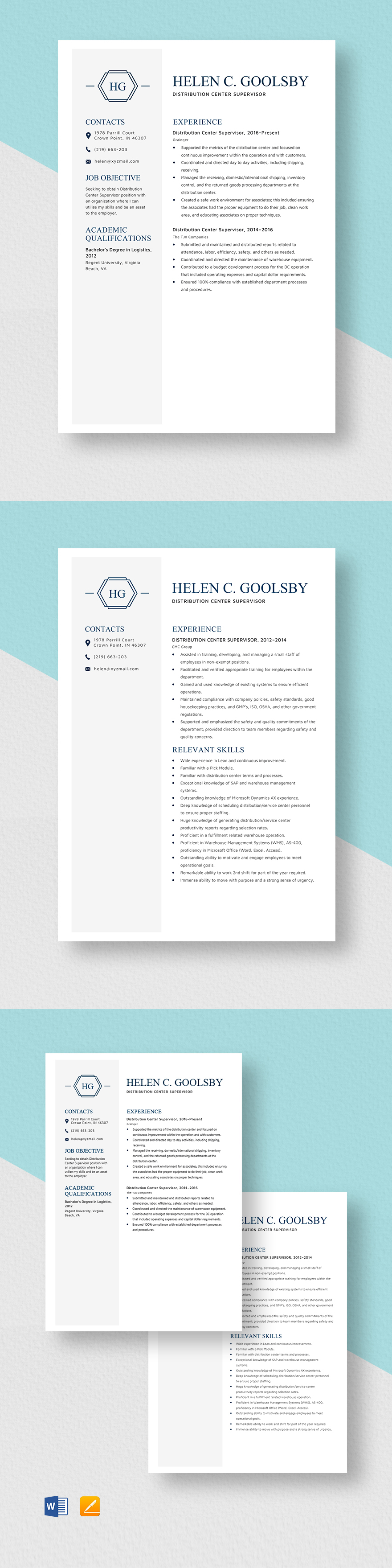 Free Distribution Director Resume Template - Word, Apple Pages ...
