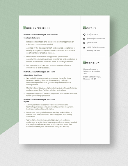 District Account Manager Resume  Template