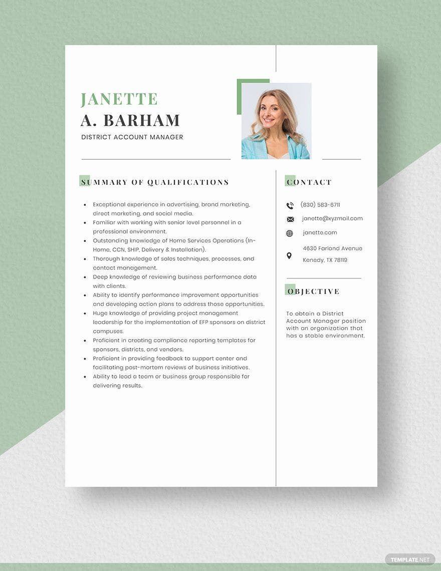 Free District Account Manager Resume in Word, Apple Pages