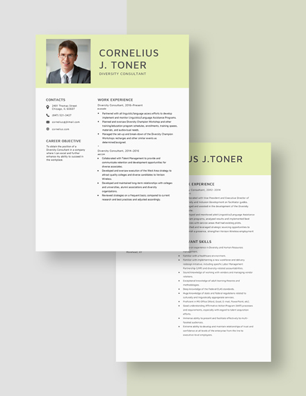 Diversity Consultant Resume Download