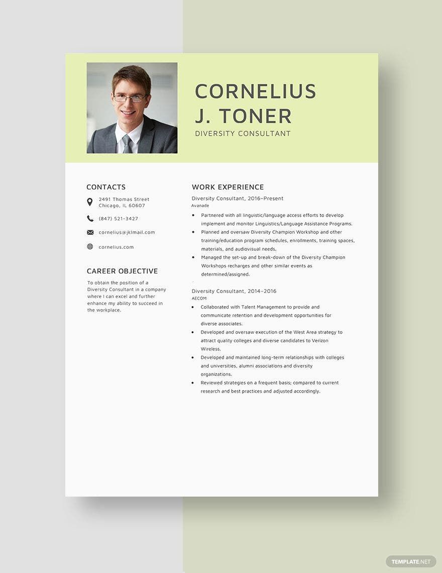 Diversity Consultant Resume
