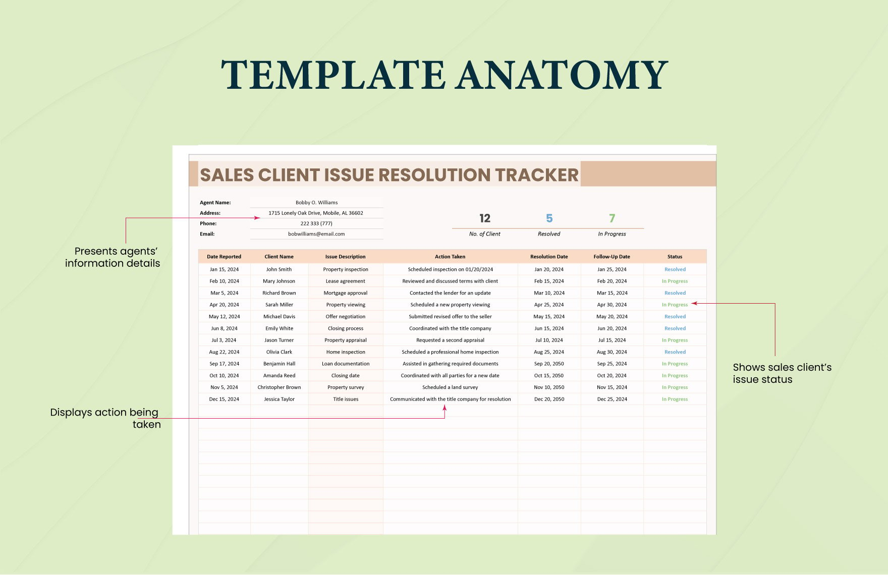 Sales Client Issue Resolution Tracker Template