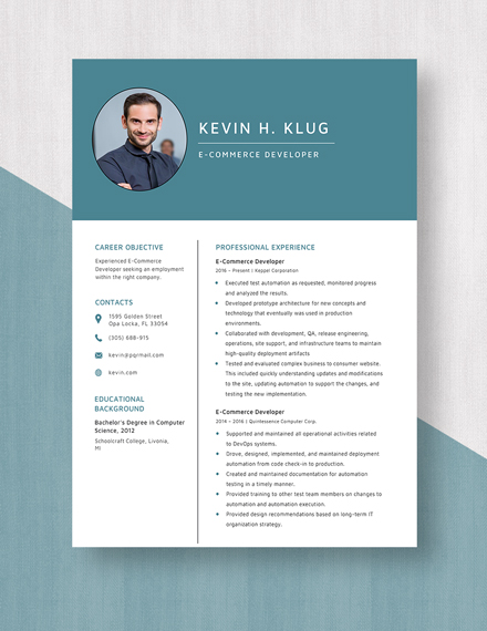 Wordpress Developer Resume - Download in PSD | Template.net