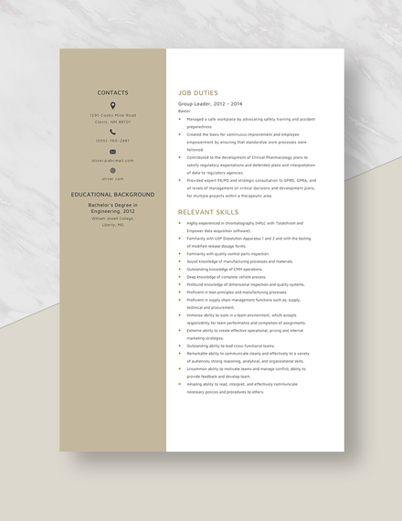 Group Leader Resume Template