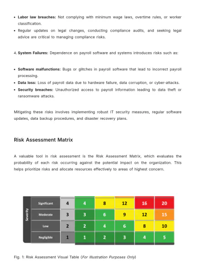 Free Payroll Accounting Risk Management Manual Template to Edit Online