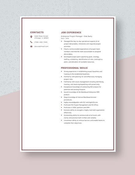 Enterprise Project Manager Resume Template