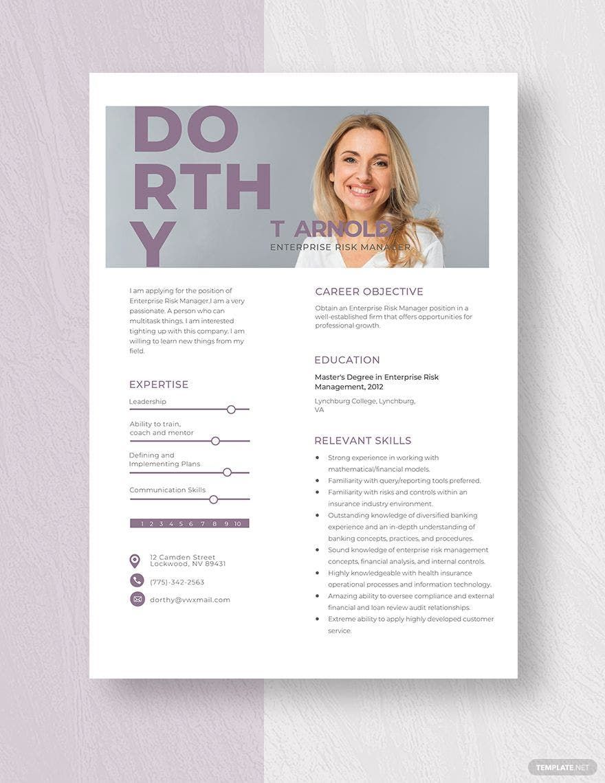 Enterprise Risk Manager Resume Template