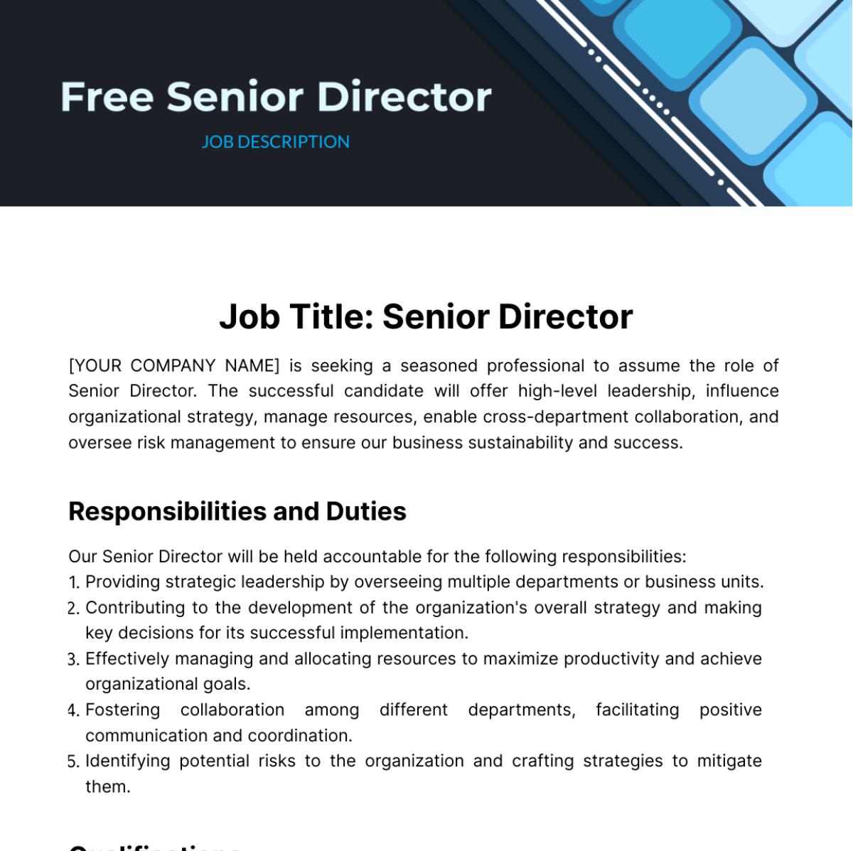 Senior Director Job Description Template