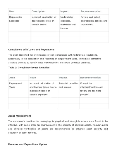Free Annual Internal Audit Accounting Report Template to Edit Online