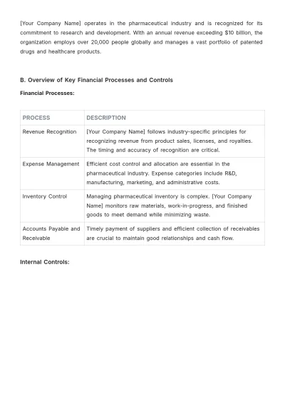 Free Internal Audit Accounting Case Study Template to Edit Online